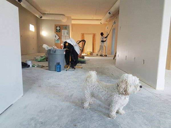 Renovation Appartement Parisien